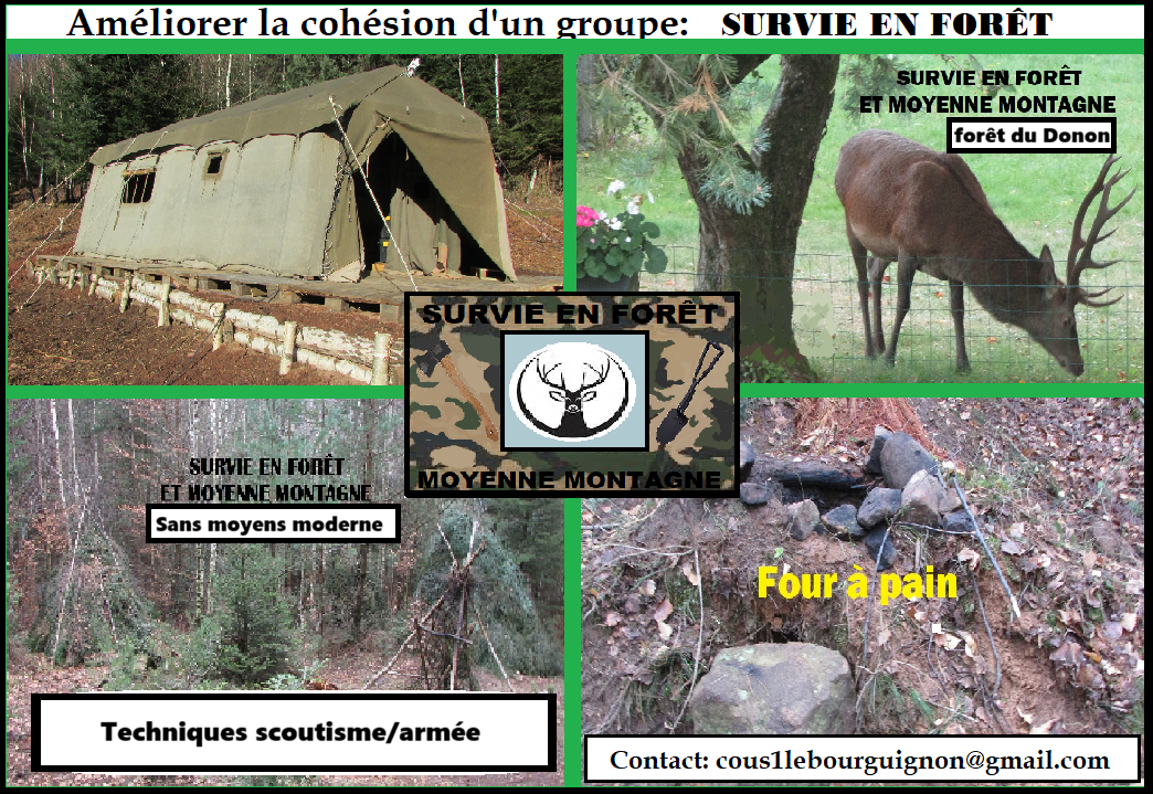 survie en forêt et montagne