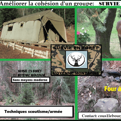 survie en forêt et montagne