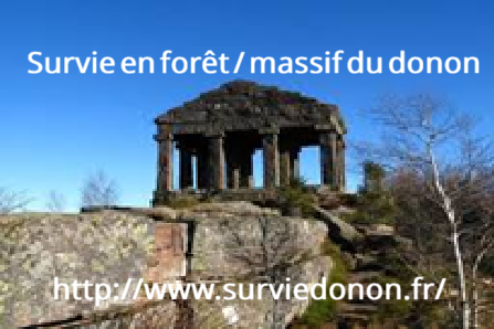 Pub survie